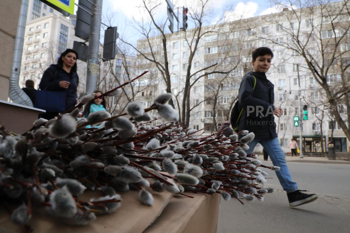 Священник назвал суеверием традицию бить веточками вербы для здоровья